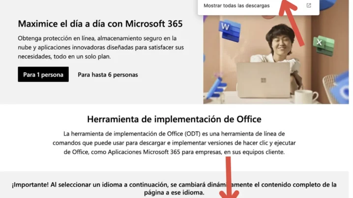 Descarga Paquete de idioma Español para Office 